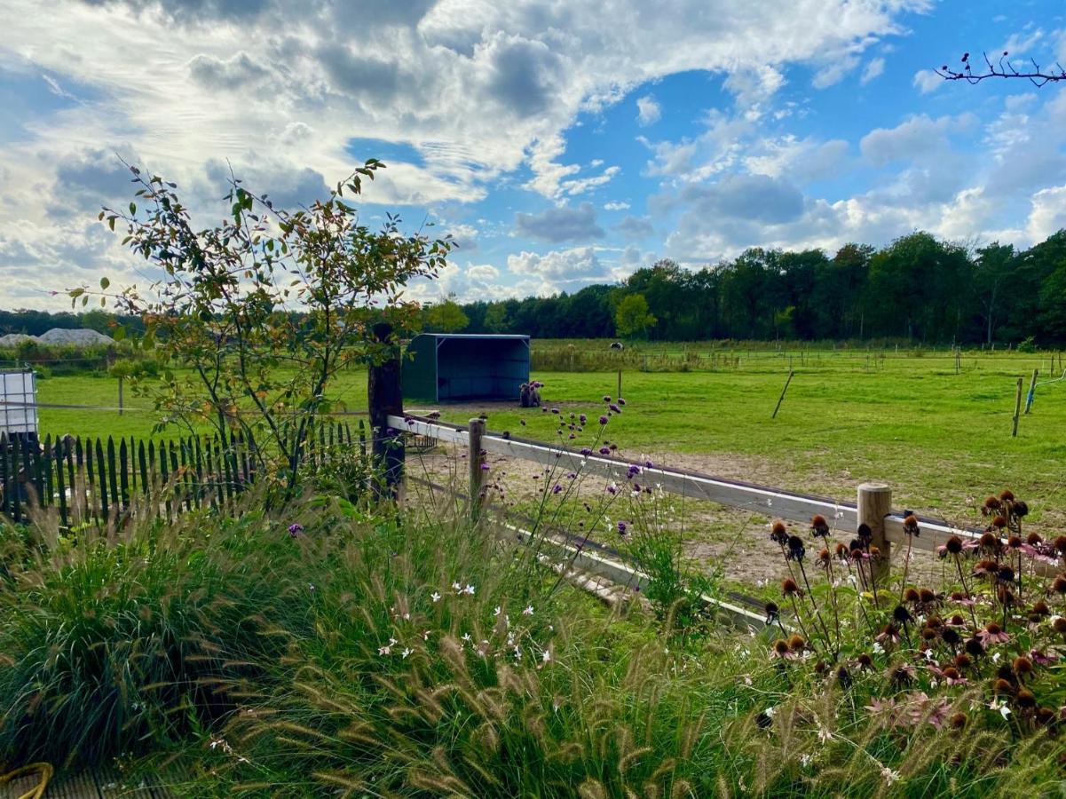 Luxe Finse Kota Van De Zandhoef Eersel Exteriör bild